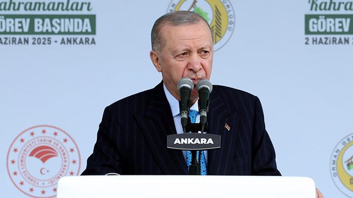 Cumhurbaşkanı Erdoğan: Reklama, konsere bütçe var ama yangın önlemi için yok