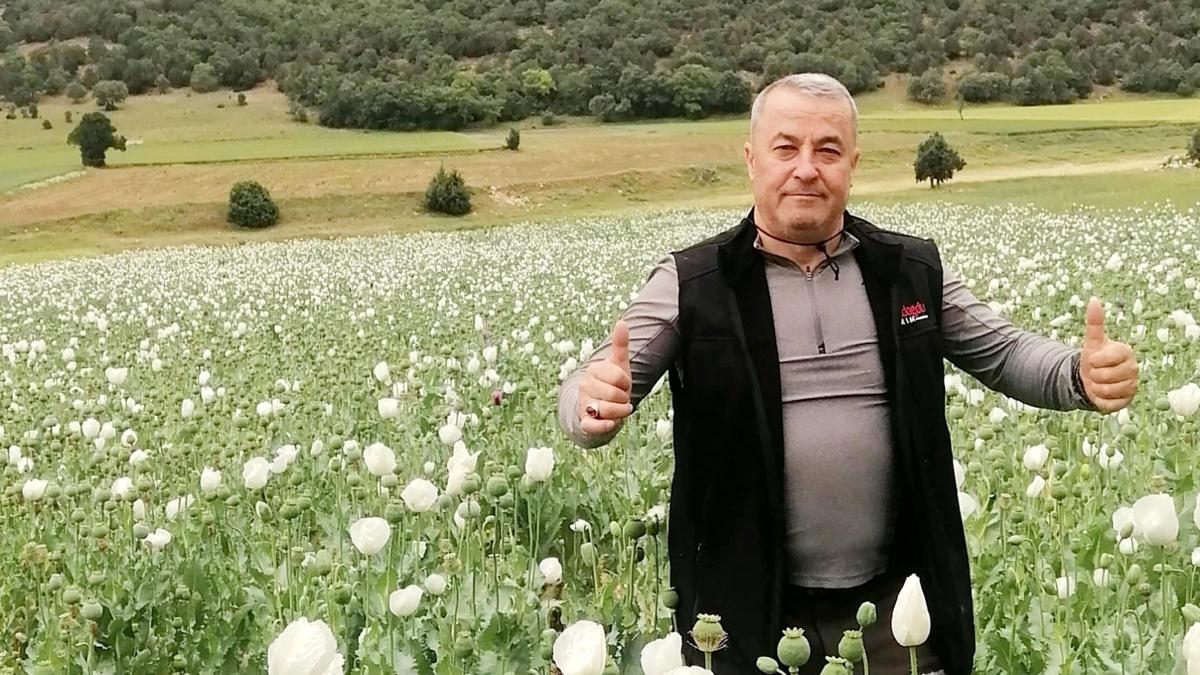 Afyonkarahisar'da haşhaş tarlaları beyaza büründü