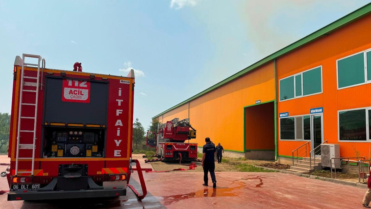 Ankara'da Yumurta Tesisinde Yangın: 150 Bin Tavuk Öldü