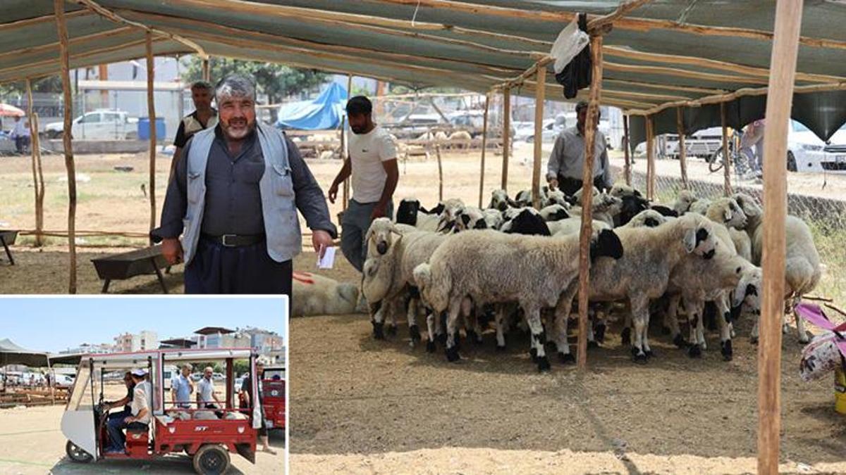 Adana kurban pazarlarında fiyatlar dibine vurdu: Yüzde 40'a varan indirim vatandaşı sevindirdi!