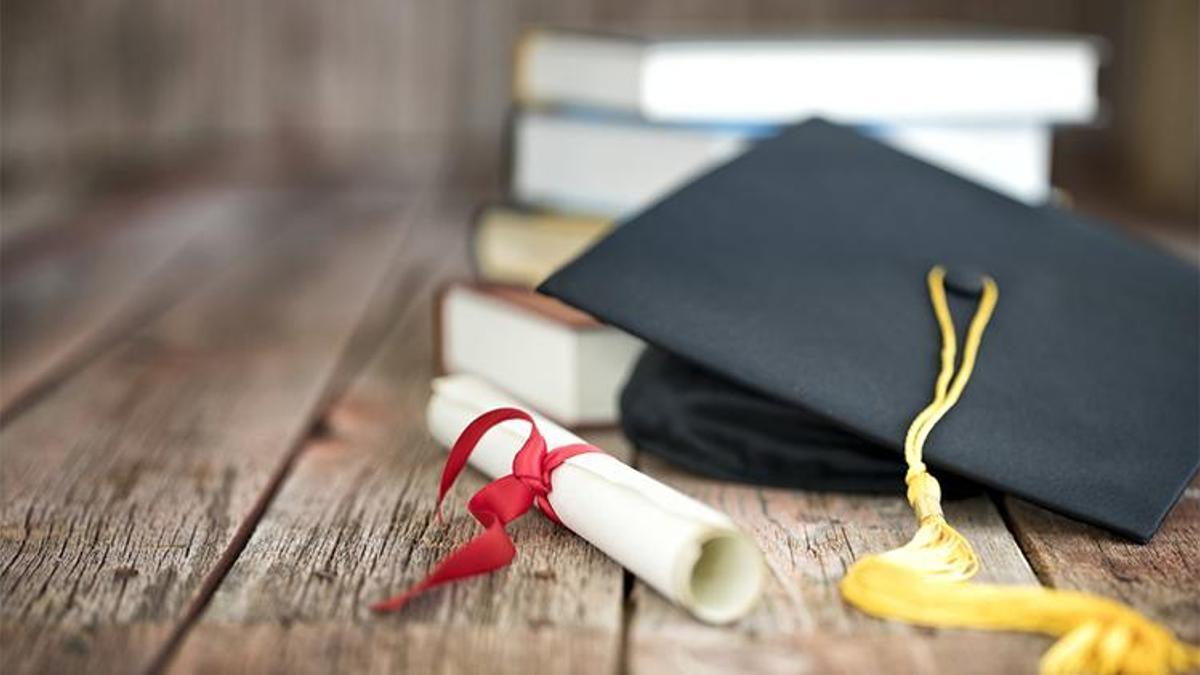 400 bin TL'ye 'hukuk diploması'! E- imza çetesi çökertildi: Sahte ehliyet ve diploma dağıtmışlar