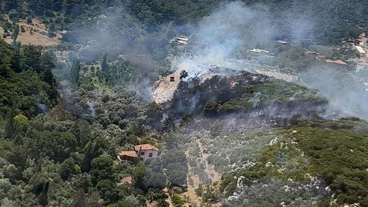 İzmir Kemalpaşa’da orman yangını!