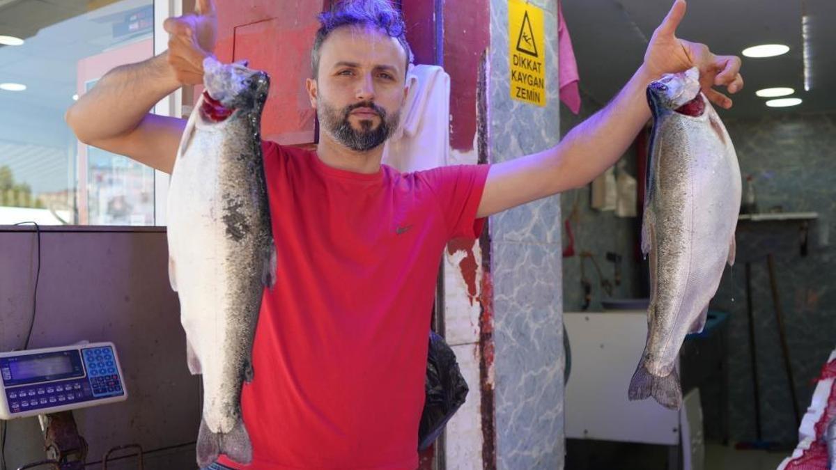 Samsun'da en çok tercih edilen balık belli oldu