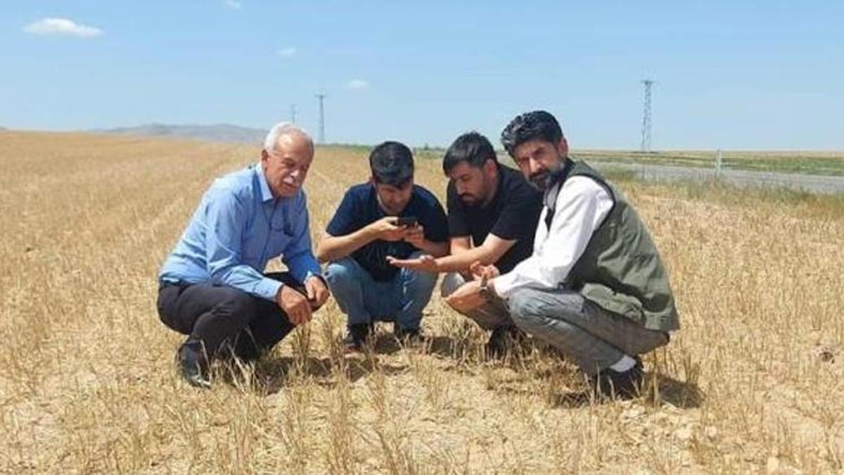 Konya'da üreticiler kara kara düşünüyor! 50 bin lira ödeme yaptılar, tarlada sıfıra düştü