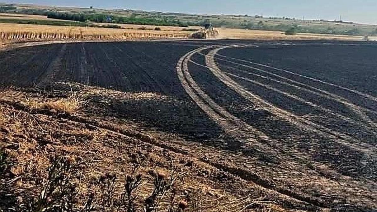 Kırklareli'nde 30 dönüm buğday alanı kül oldu