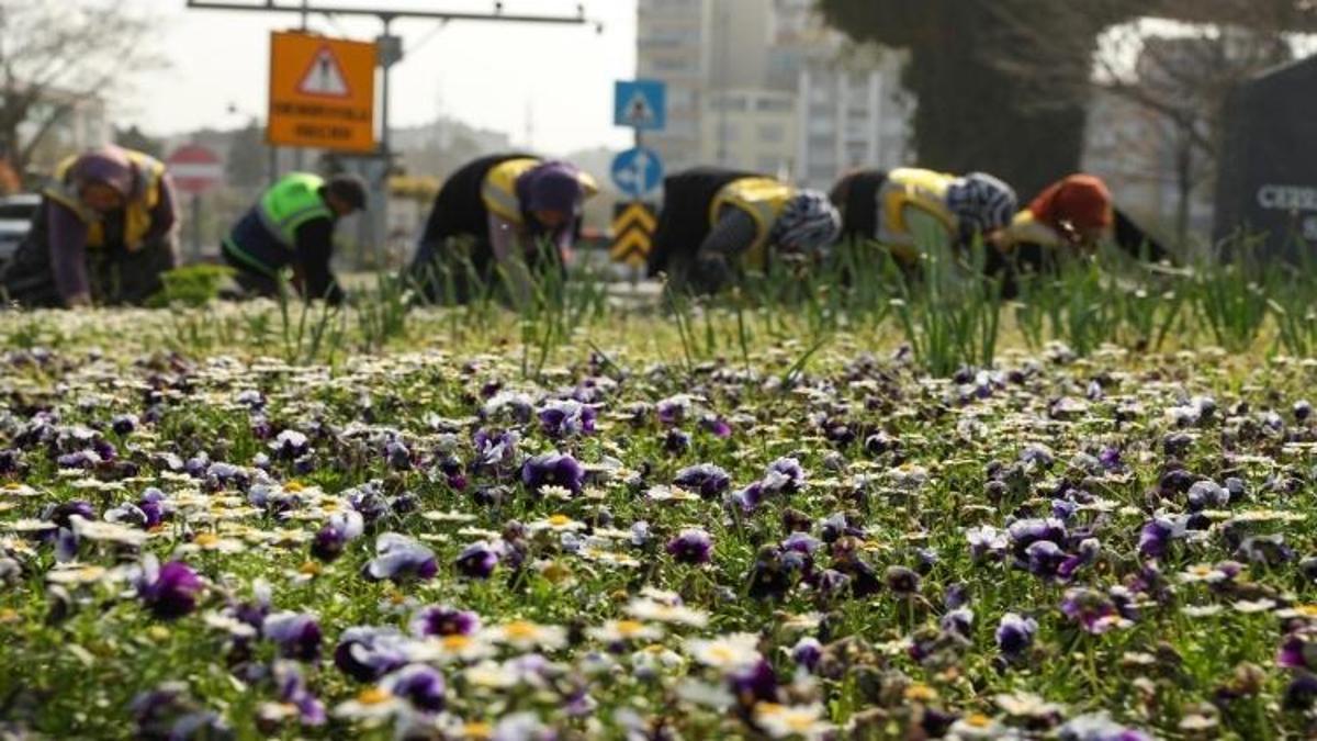 Samsun'da yılda 66 bin ağaç kesilmekten böyle kurtuluyor!