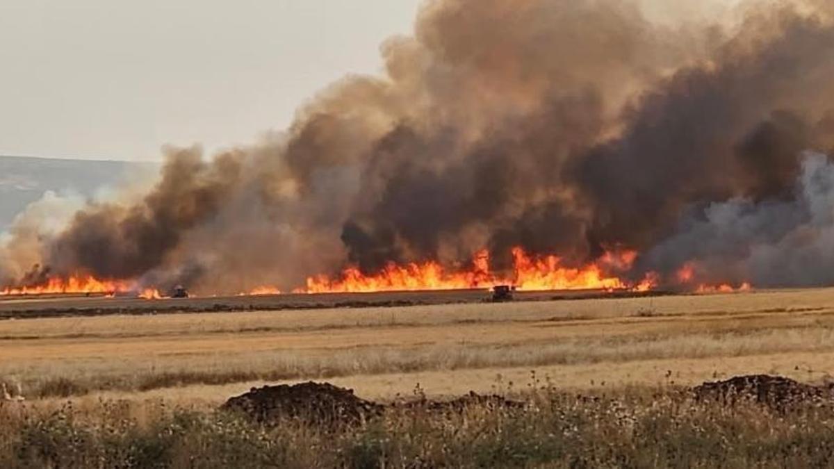 Gaziantep'te 8 ayrı noktada yangın: 2 bin dönüm ekili alan yok oldu