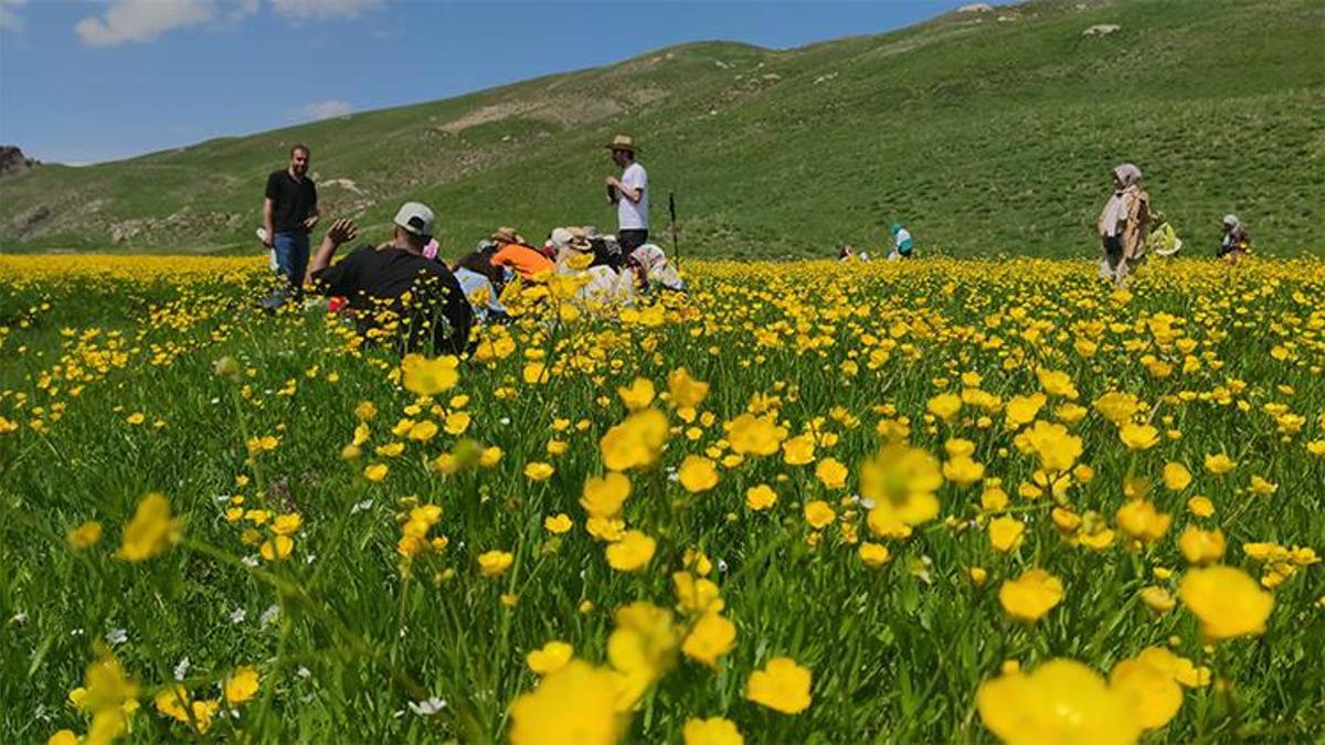 Van'daki doğa harikası kanyon sarıya boyandı, keşfedilmeyi bekliyor