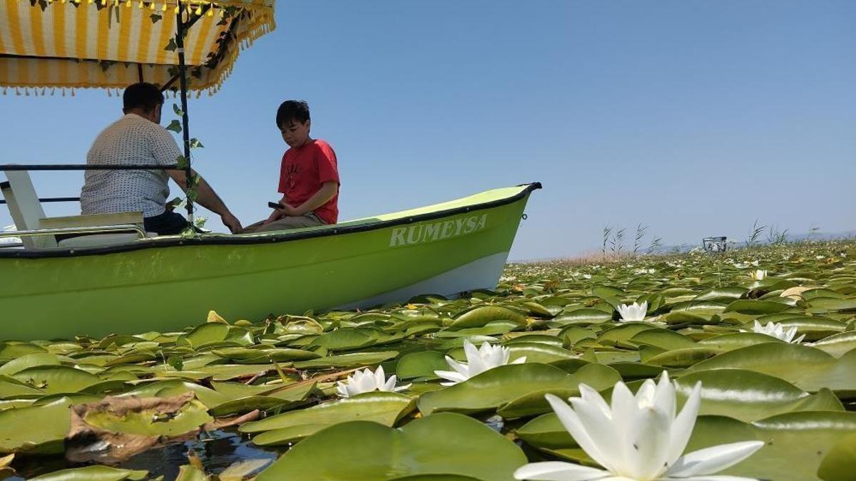 Köylü hazine üzerinde geziyor! Şehir merkezine 120 km uzakta bulundu: Turist akını var: