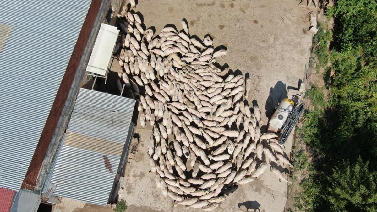 Sivas'ta çetin geçen kışın ardından yapılıyor! Beyaz altın olarak biliniyor, dakikalar içinde hazırlanıyor