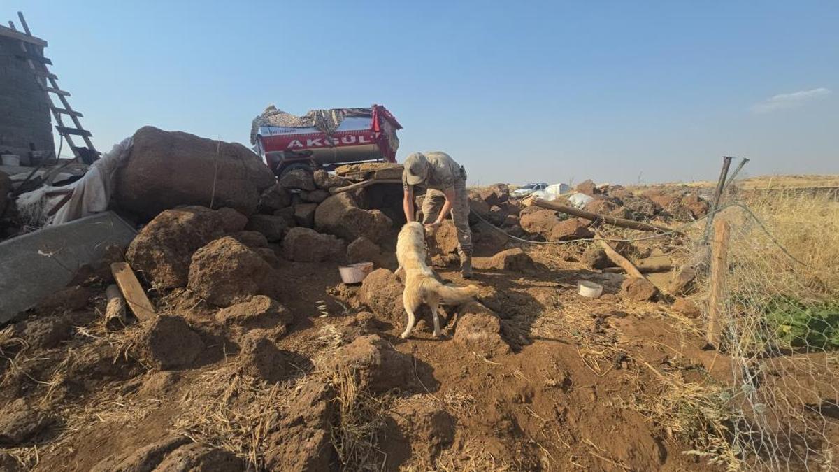 Gaziantep'te duygulandıran anlar: Anız yangınında alevlerin arasında kalan köpeği ve yavrularını asker kurtardı