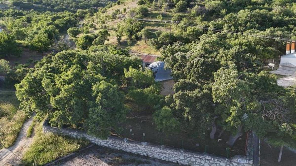 Malatya'da 800 yıllık hazine! Köylüler değerini fark etti, yetkililerden tek bir istekleri var