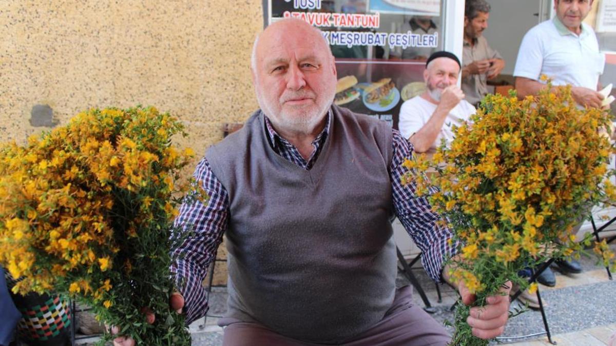 Dağlardan toplayıp pazarda satıyorlar! Bir demeti 30 lira: Tam bir şifa deposu