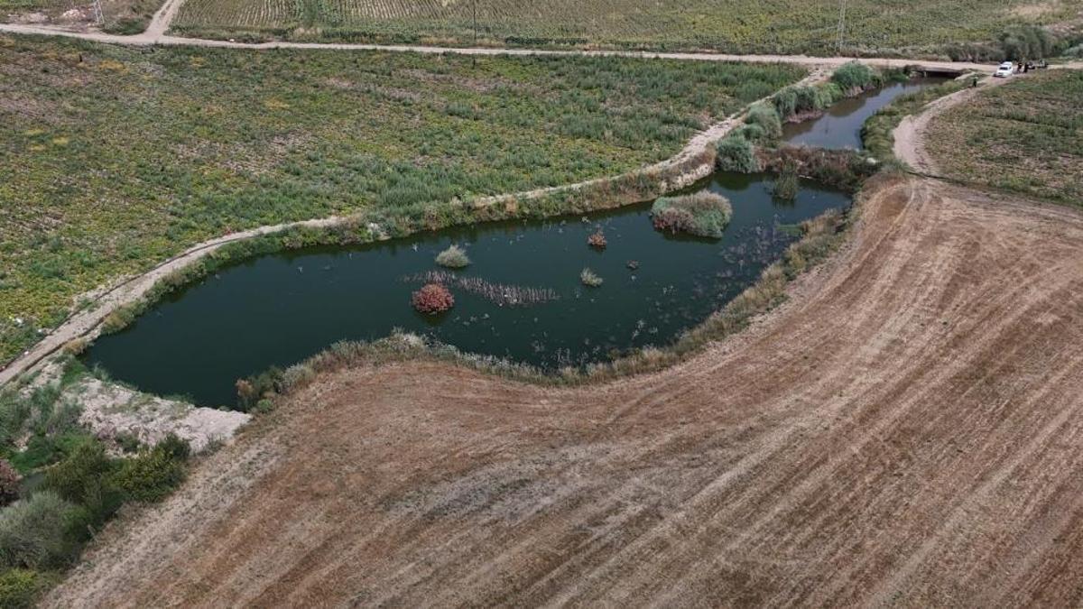 Adana'da büyük skandal! Tarım arazilerinin sulandığı dere yatağına kanalizasyon akıyor: Önlem alınması gerek