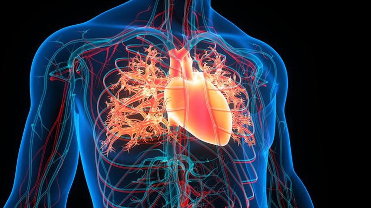 Mitral kapak darlığı ülkemizde neden bu kadar yaygın?