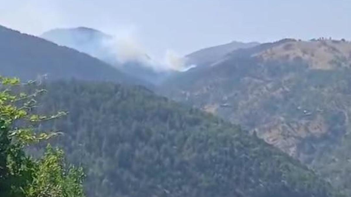 Adana'da orman yangını