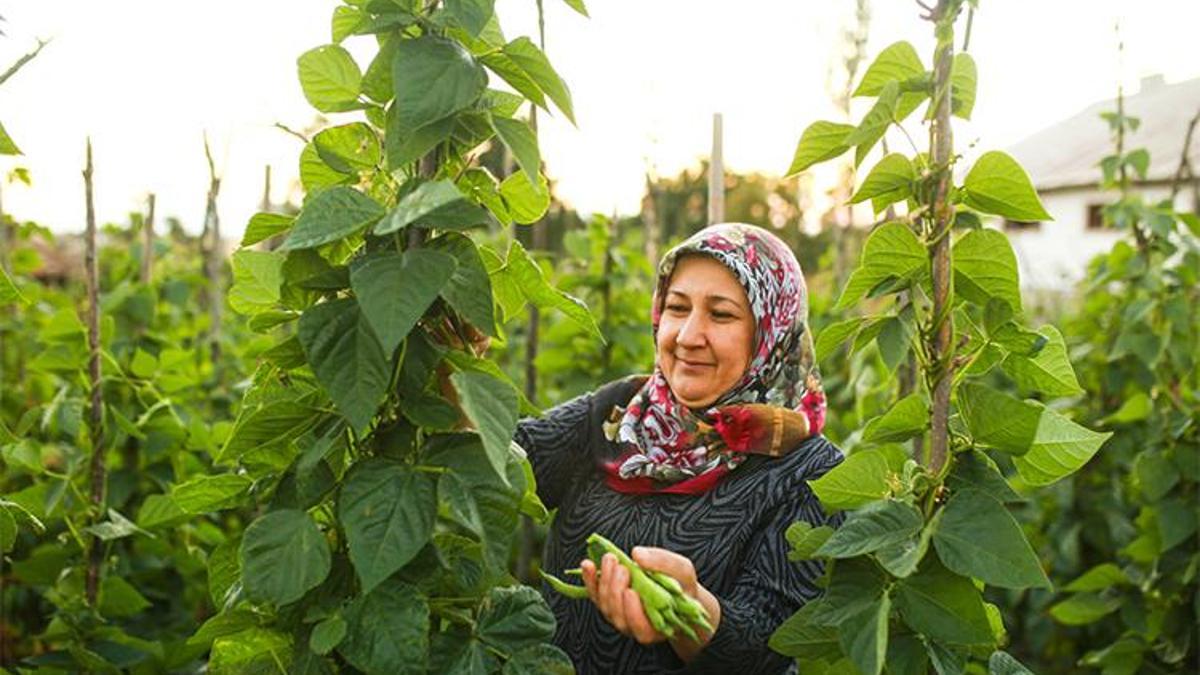 Eskişehir çiftçisine destek ödemesi yapıldı! Paralar hesaplara yatırıldı