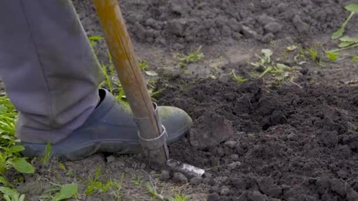 Konya sınırında hazine buldu! Dağlık arazide keşfedip topladı: Müzeye götürünce değerini öğrendi