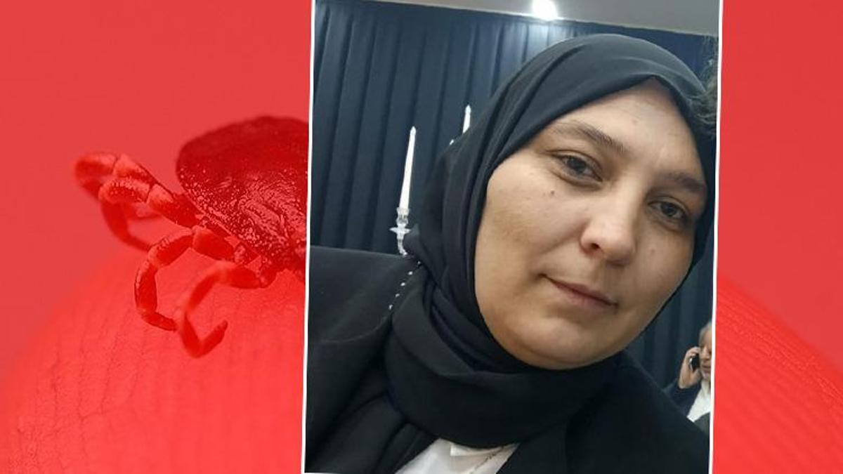 Kayseri'de 2 çocuk annesi kadın kene ısırması sonucu hayatını kaybetti!