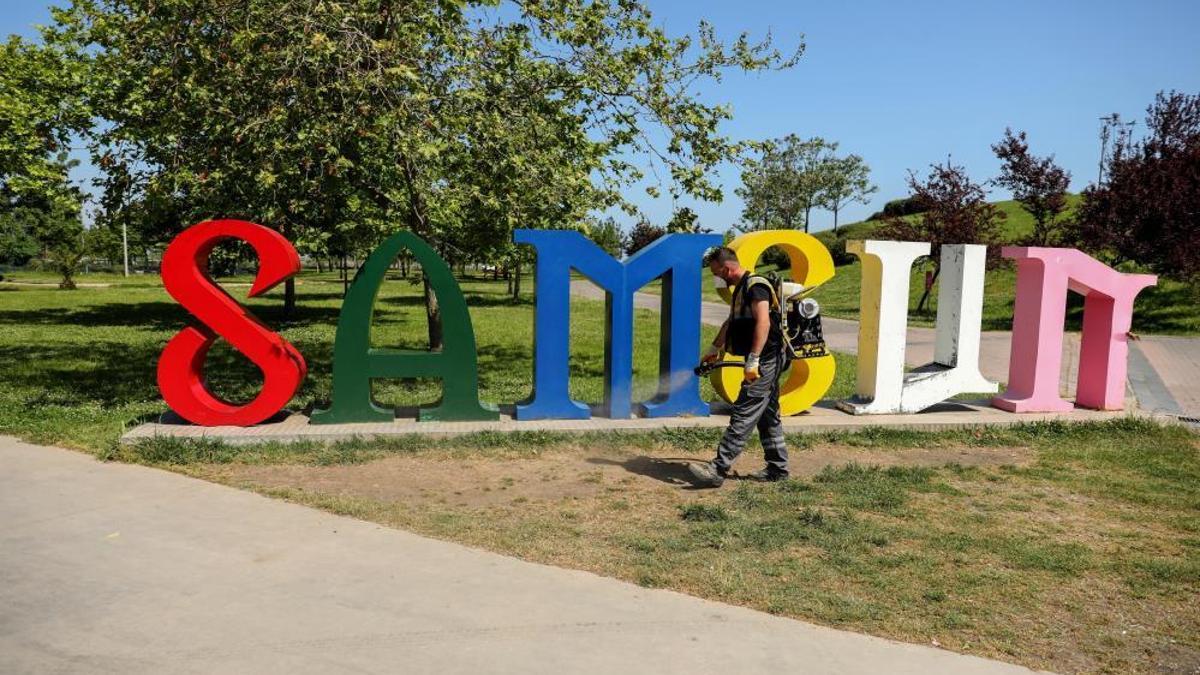 Samsun'da kenelere karşı yoğun ilaçlama başladı!