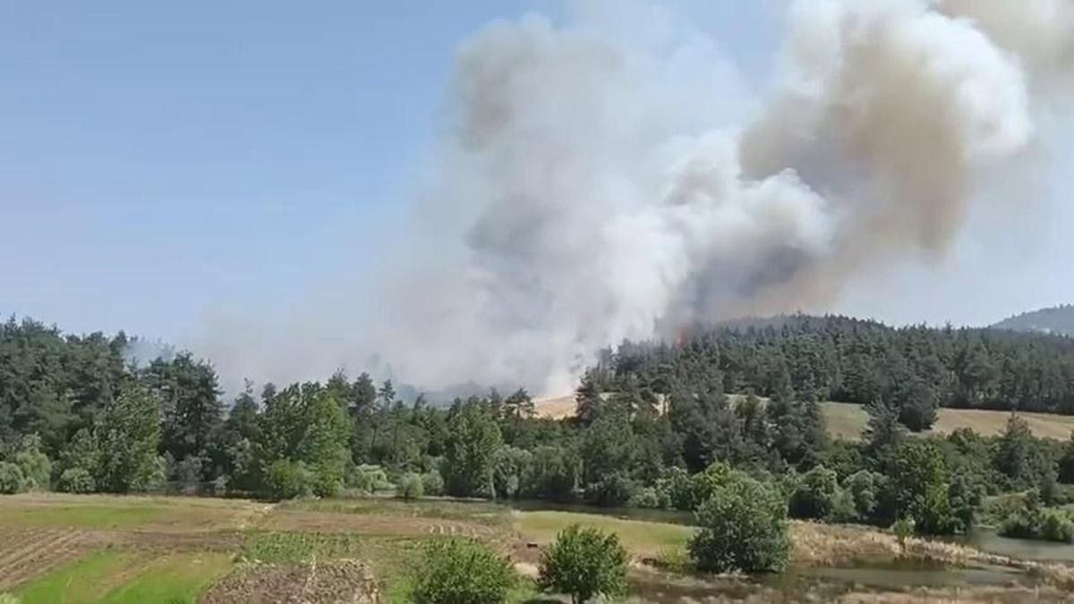 Bursa'da korkutan yangın: Taş ocakları mevkine karadan ve havadan müdahale