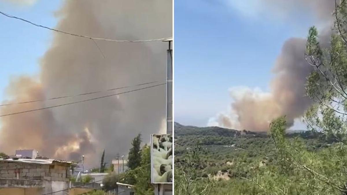 Adana'nın Çukurova ilçesinde orman yangını!