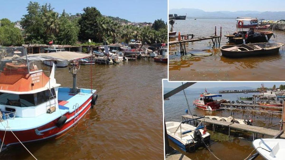 Bursa kıyılarında gizemli renk değişimi! Uzmanlar sebebini açıkladı: 'Kirlilik değil'