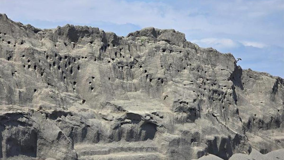 Kum tepeleri delik deşik: Bakın içerisinde ne yaşıyor