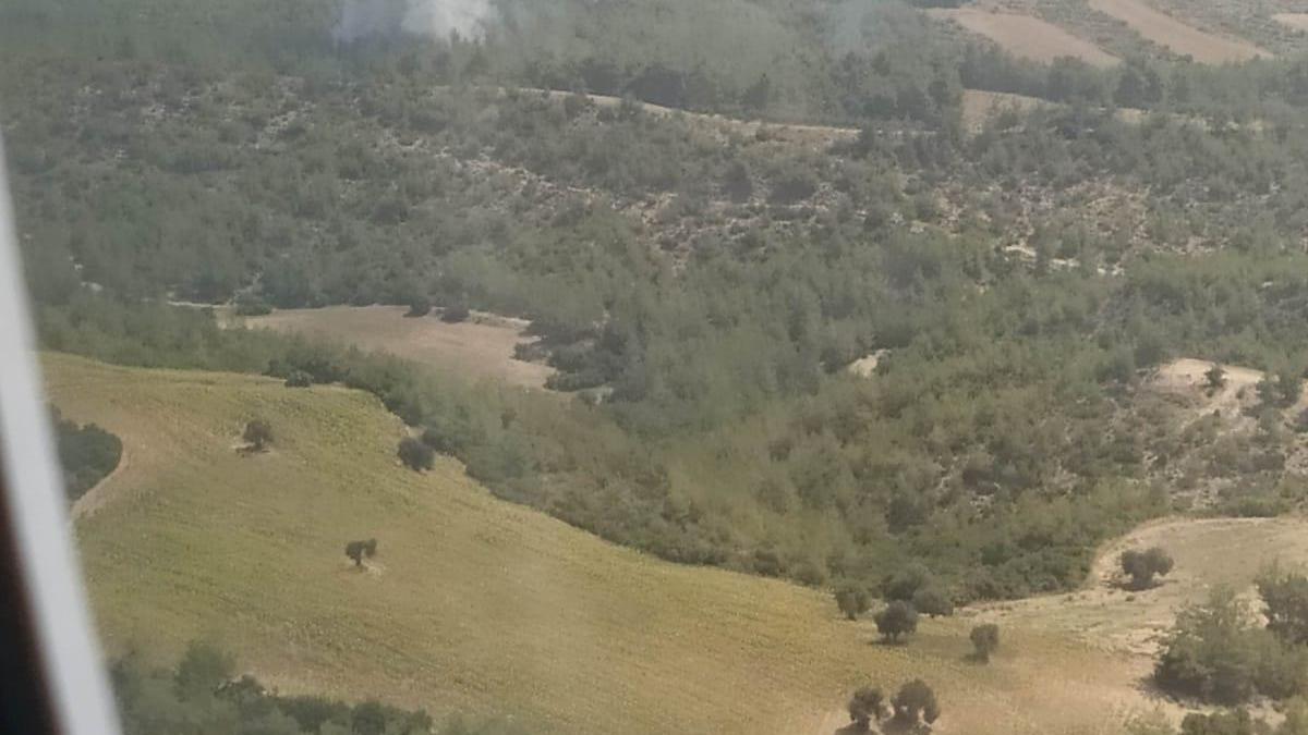 Adana'da orman yangını