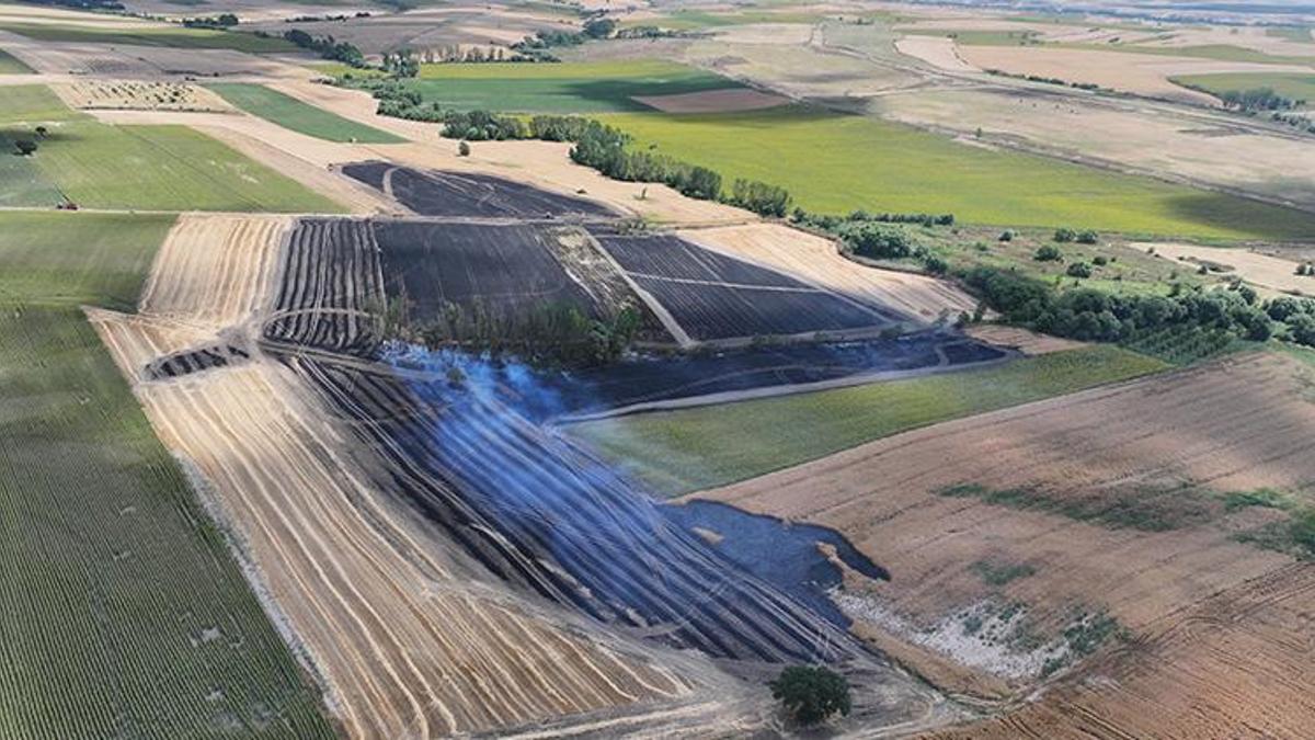 Edirne'de buğday tarlasında çıkan yangın söndürüldü! 70 dekar buğday küle döndü