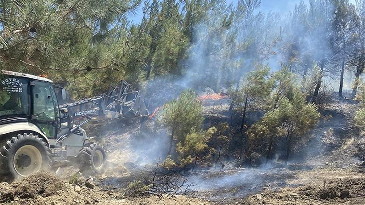 Çanakkale'de orman yangını: Alevler köye ulaştı! Jandarma ve köylüler seferber oldu