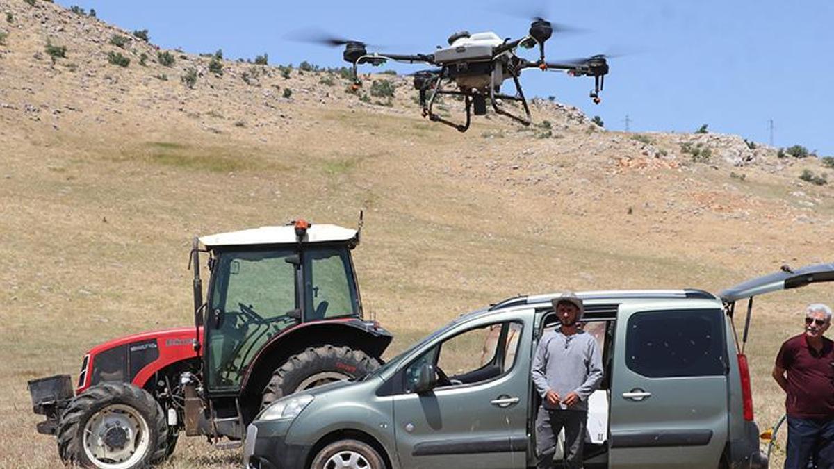 Siirt'te çekirge sürüsüne ilaçlı çözüm! Bahçelerde büyük zarar var