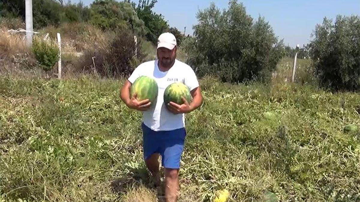 Satamayınca tarladaki karpuzları vatandaşa ücretsiz dağıttı