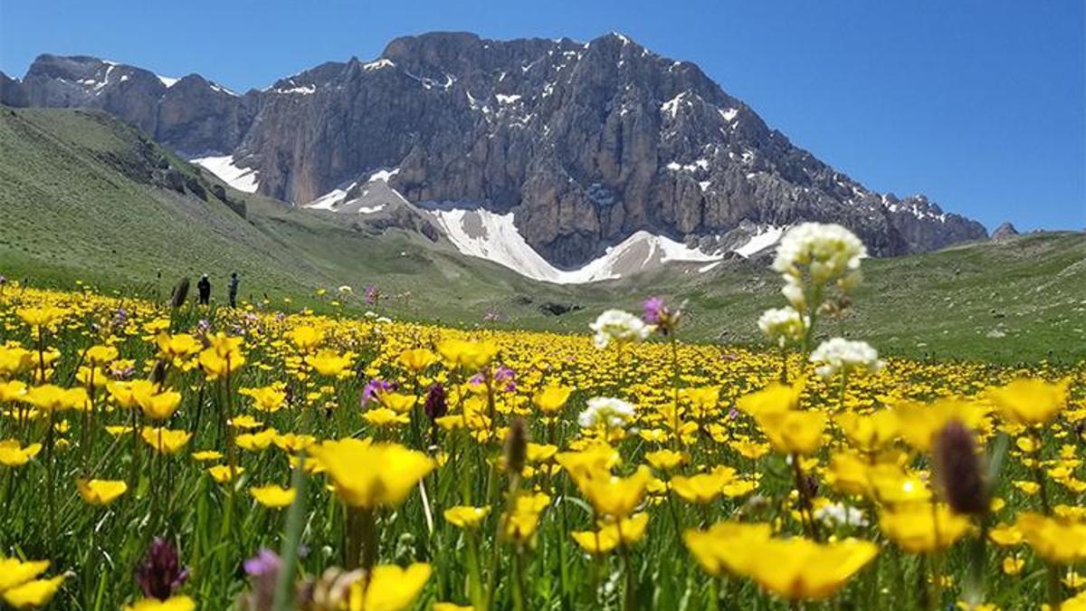 Yerli ve yabancı turistlerin yeni rotası! İki il arasında saklı cennet, dört mevsim bir arada