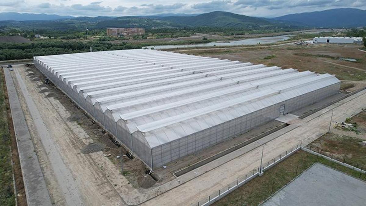 Zonguldak'a dev sera projesi! Binlerce vatandaş istihdam edilecek