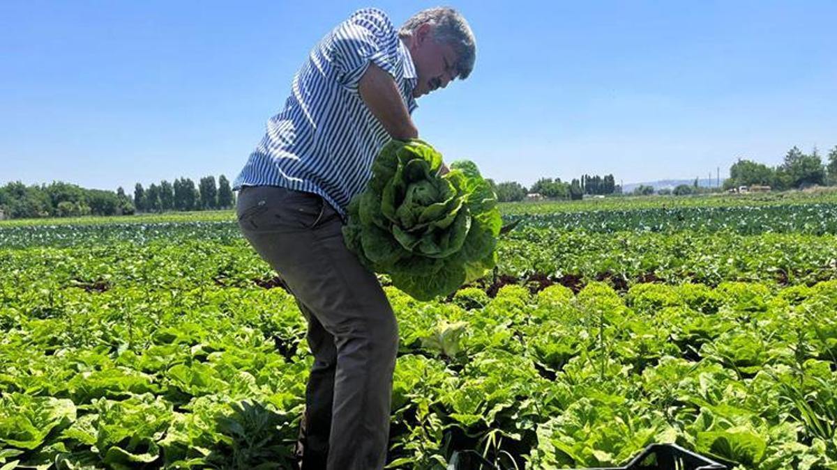 Eskişehir'de tarladan tezgaha fiyatı tam 10 kat artıyor! Üreticiler isyan etti: 'Bu soygun durmalı'