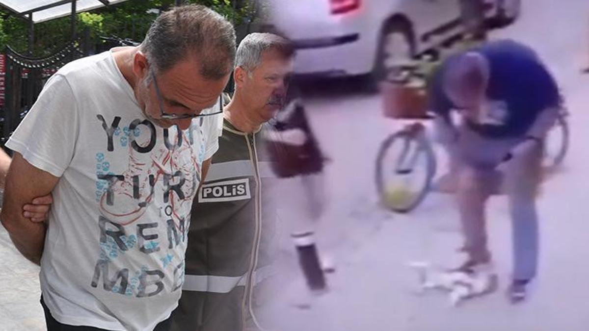 Eskişehir'i ayağa kaldıran görüntü! Boğazını sıkıp yere fırlattı