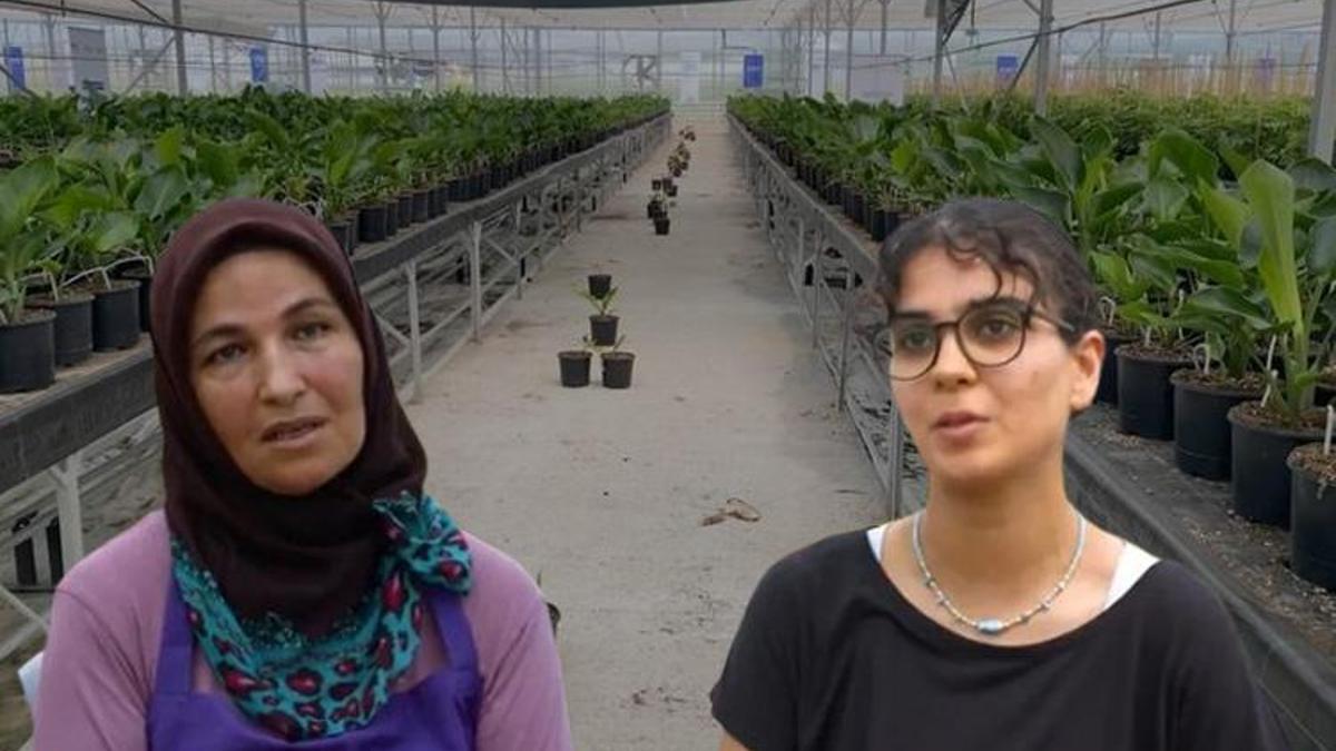 Adanalı kadınlar için istihdam fırsatı! Aile bütçelerine katkı sağlıyorlar