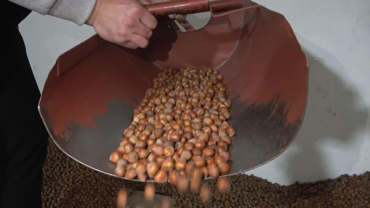 Fiyatlar 125 liraydı, şimdi 220 liraya çıktı! Yeni hasat dönemine çok az zaman kaldı