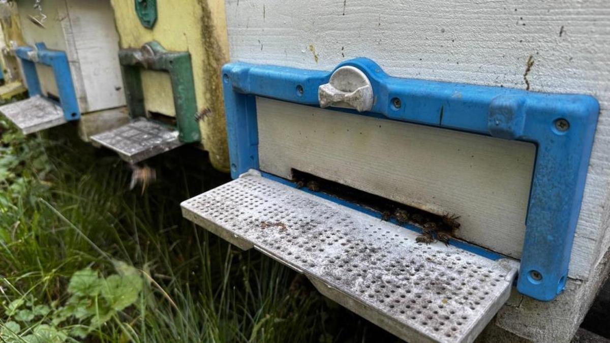 Dedesinin nasihatiyle başladı, şimdi 2 buçuk milyon lira kazanacak