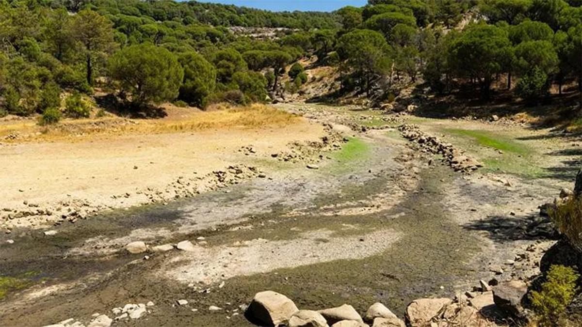 Adana'da kuraklık etkisini gösterdi! Seyhan Nehri kuruma tehlikesiyle karşı karşıya