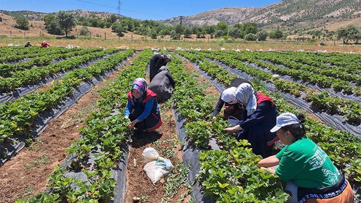 Bozkır’da kadın çiftçilere destek ziyareti!