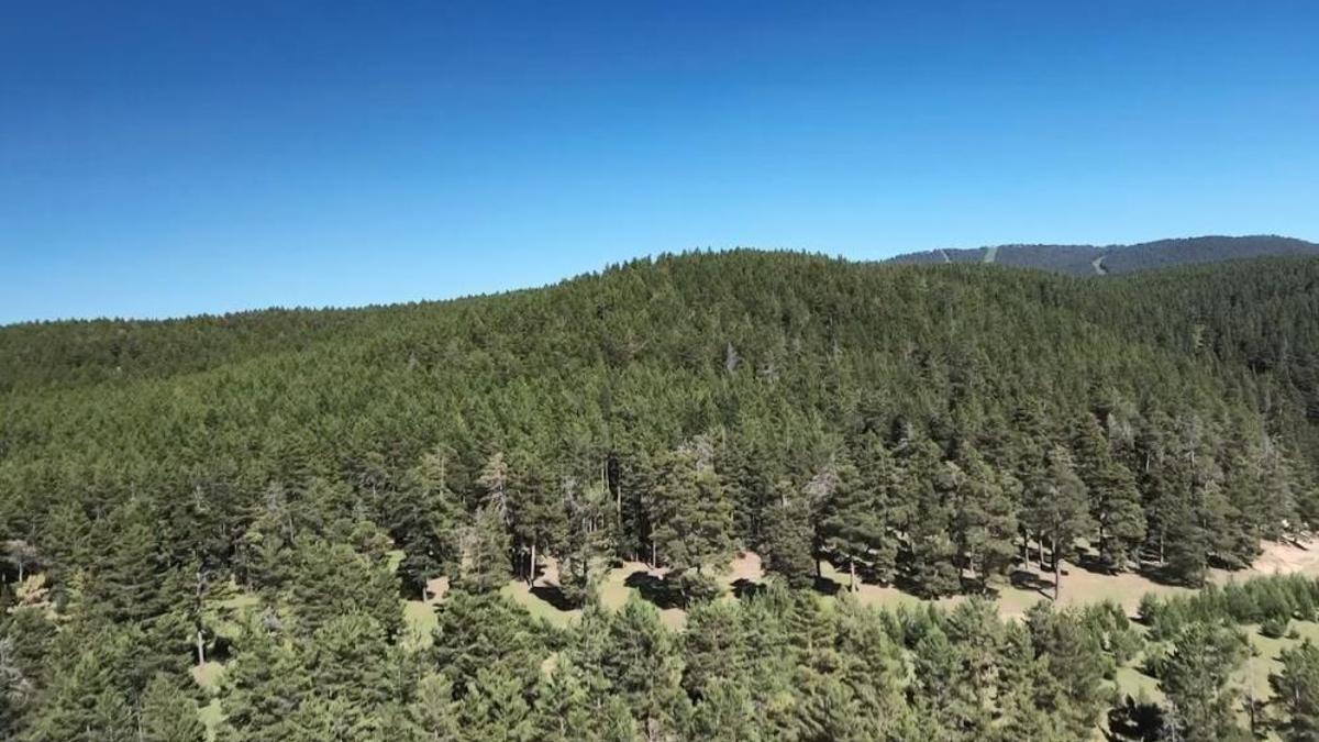 Kars için tarih verildi: 31 Ekim'e kadar sürecek