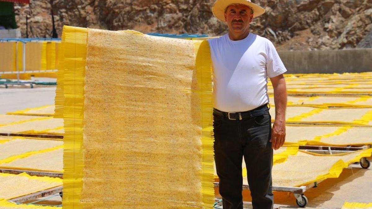 Türkiye çorbasını seviyor, Avrupa cips olarak tüketiyor! Hem istihdam sağlıyor hem de ihracatı güçlendiriyor