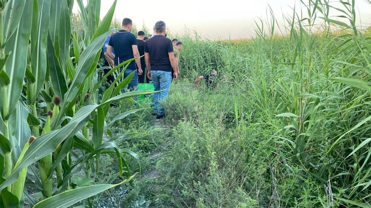 Adana'da sazlıklar arasında bir kişi ölü bulundu