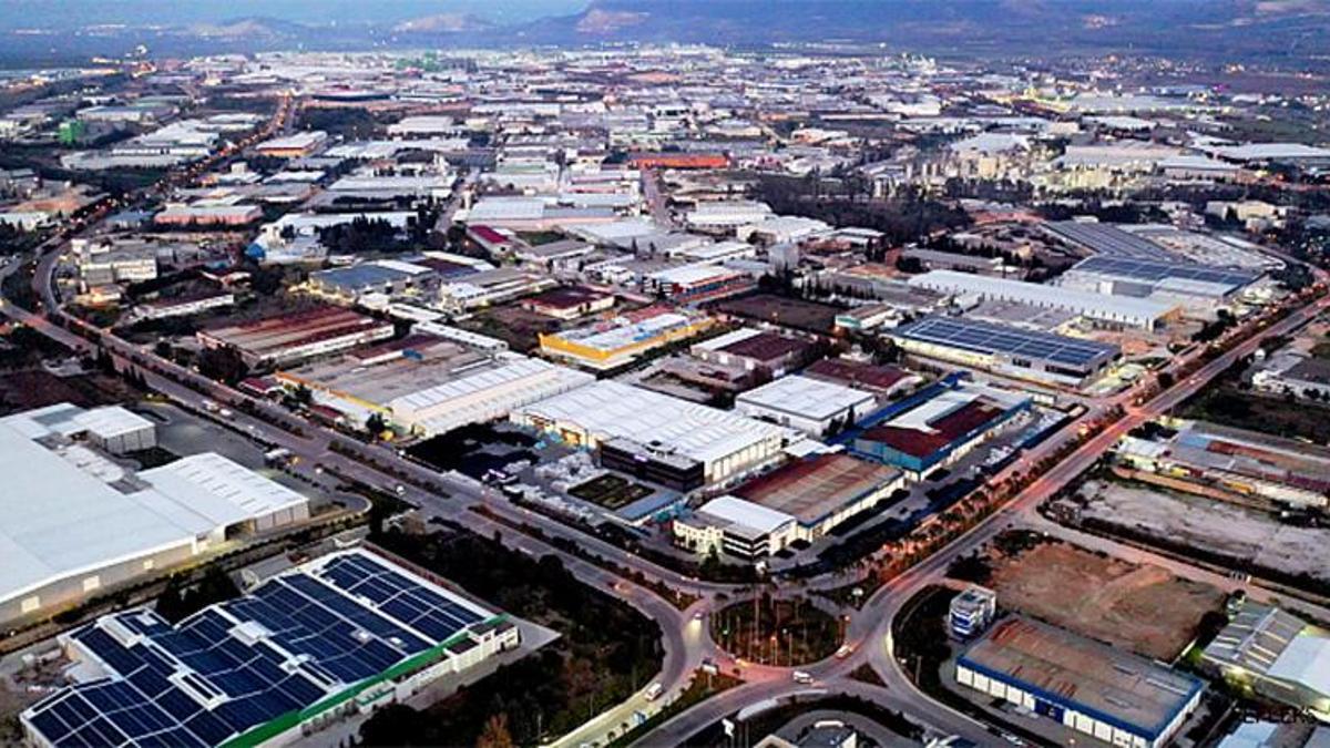 Adana'da zeytinlik alan tartışması: Sanayi ve tarım dengesi nasıl kurulacak?