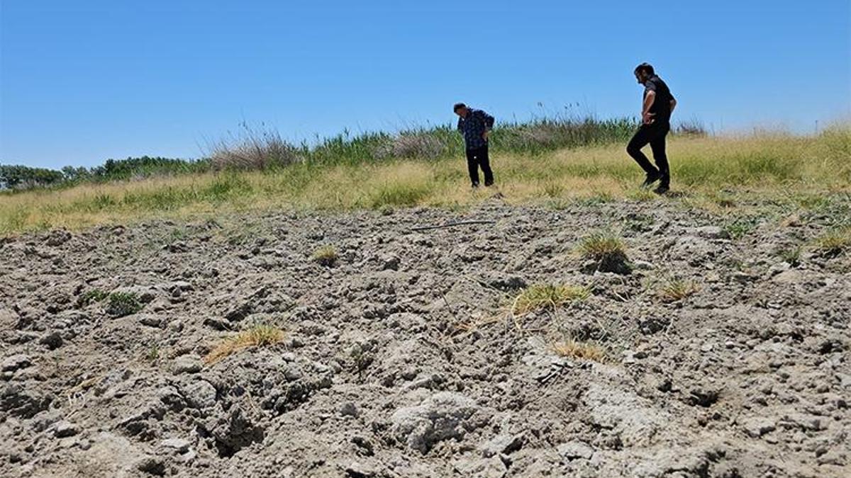 Tehlike çanları çalıyor... Türkiye'nin kalbi susuz kaldı: Van ve Bitlis kurudu! ' Bizi perişan etti'
