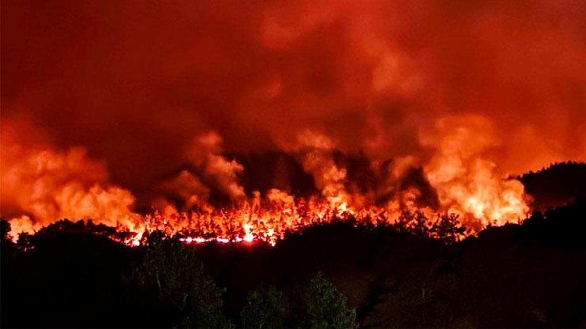 7 şehirde orman yangınıyla mücadele! Sakarya'daki yangın Bilecik'e sıçradı, İzmir'de 455 ev tahliye edildi