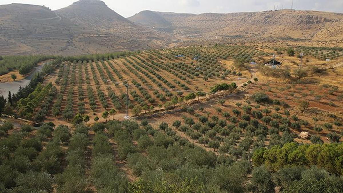 Gaziantep’te üretildi, dünyanın en iyisi seçildi! Avrupa ülkeleri almak için sıraya girdi