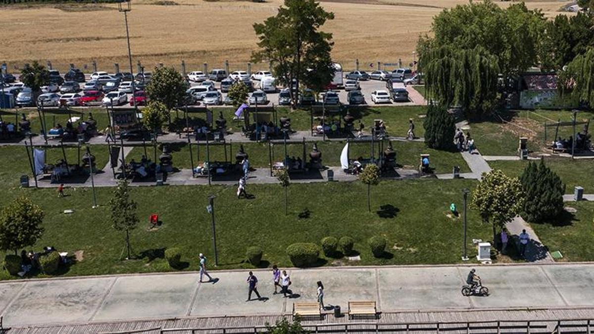 Havaların ısınmasıyla resmen patladı! 1 tanesi 10 bin tane üretiyor, tek çözümü var